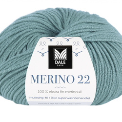 Merino 22